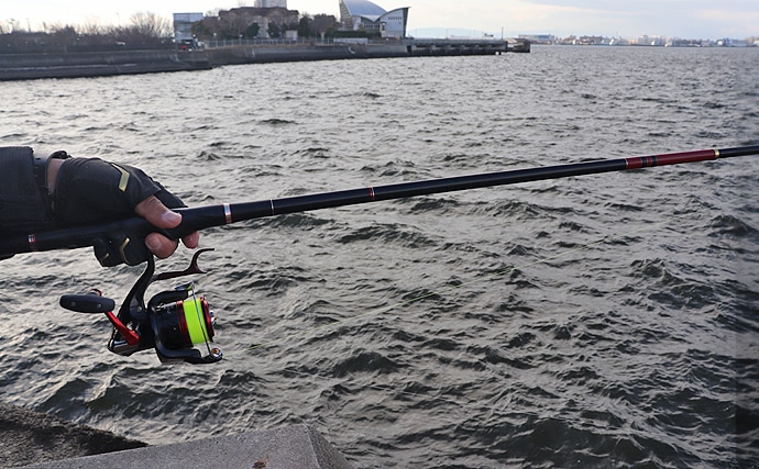 冬の名古屋港フカセ釣り攻略方法　『ハワセ誘い釣り』を活用しよう