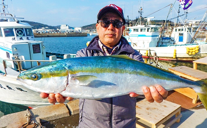 買い販促品 HAYU プレート 魚(アジ) ゴールド | tflhomesolution.it