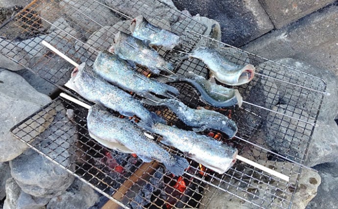 冬の管理釣り場で釣り q 釣果は燻製 塩焼きで 芥川マス釣り場 Tsurinews