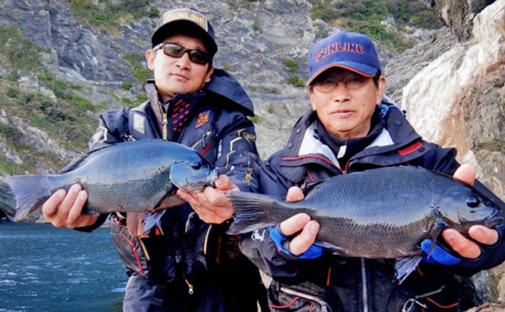沖磯フカセ釣りでの寒グロ最高潮 40cm頭に親子全員安打【米水津