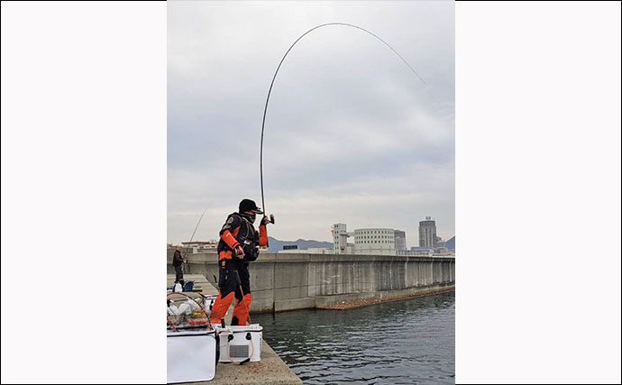 真冬の波止フカセ釣りで40cm級チヌ3尾手中【長田港東堤防】