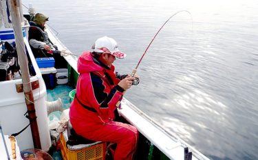 チヌのカカリ釣り　高水温でシーズンまではあと少し？【第二福丸】