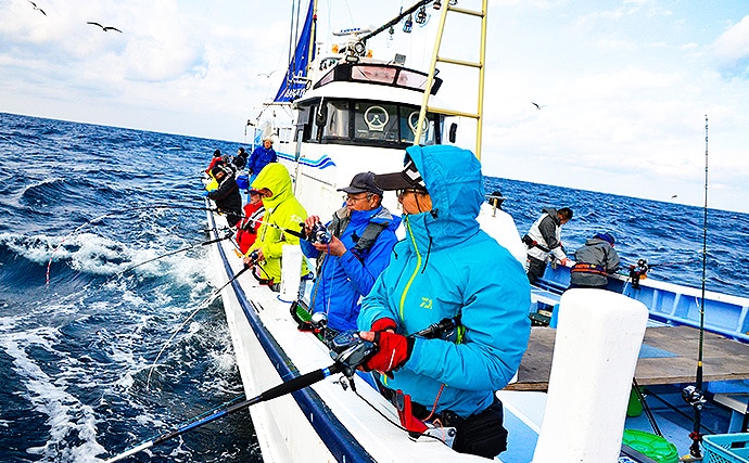 【関東エリア2020】最盛期迎えた『ヤリイカ』釣りキホン　手返しが重要