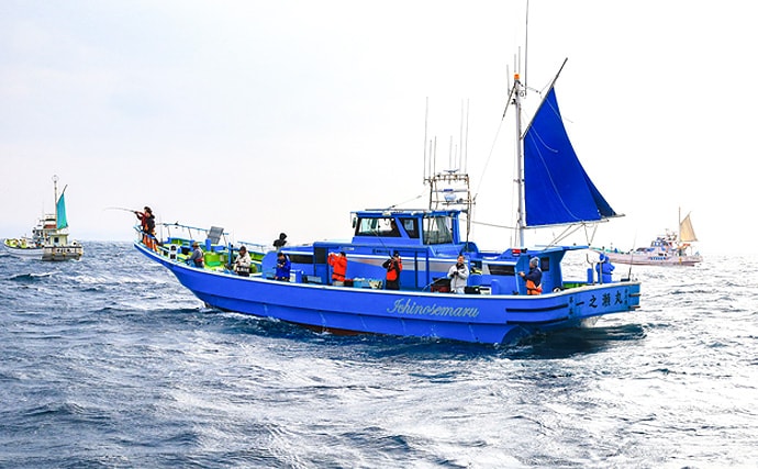 【関東エリア2020】最盛期迎えた『ヤリイカ』釣りキホン　手返しが重要