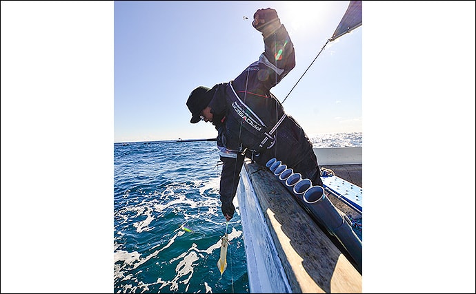 【関東エリア2020】最盛期迎えた『ヤリイカ』釣りキホン　手返しが重要