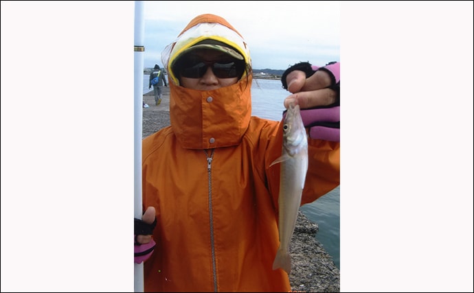 館山港ポテンシャル高し　投げキス釣りで21cm頭に2人でシロギス26尾
