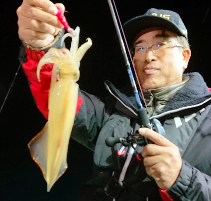 【三重＆福井】沖釣り最新釣果　マダイ数釣りに旬のヤリイカ100匹超え
