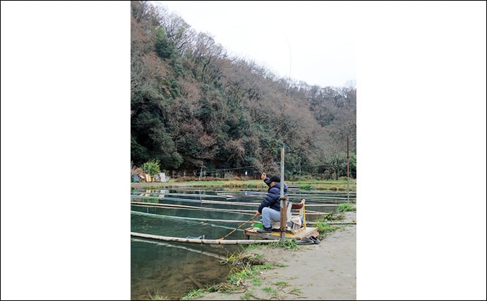 今週のヘラブナ推薦釣り場【神奈川県・上大島ファミリー釣り場】