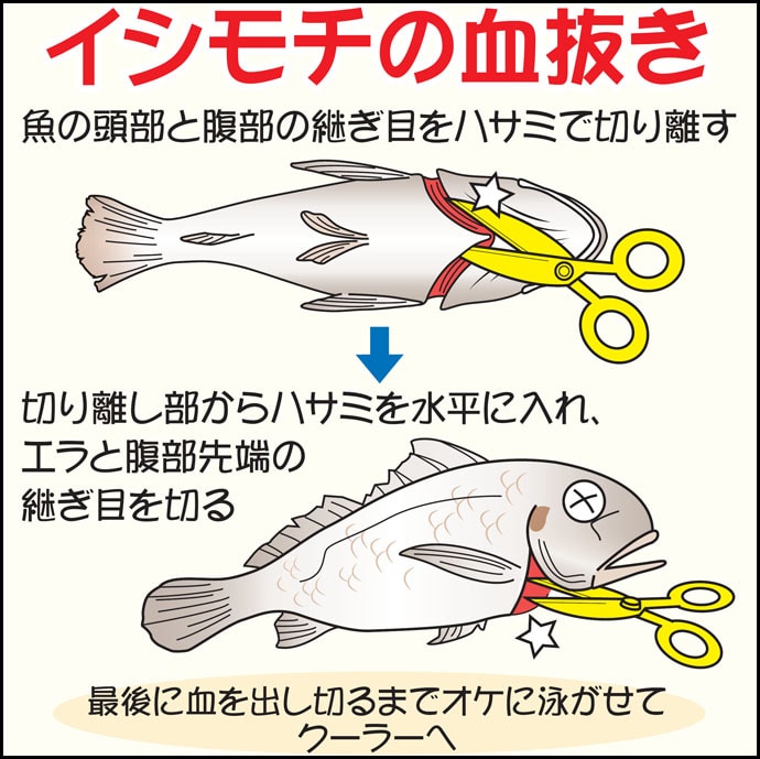 【2020関東】船釣り入門に最適な『イシモチ』解説　派手なアタリを満喫