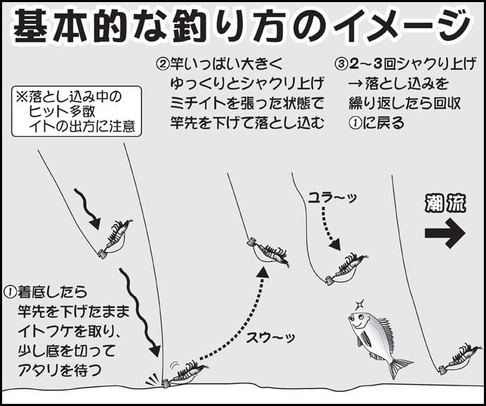 【関東2020冬】『テンヤマダイ』釣り初級攻略　釣趣はスリル満点