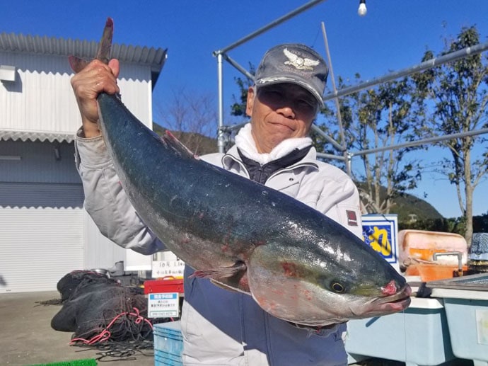 三重県 海上釣り堀最新釣果 大型ブリにマダイに本クエなど高級魚三昧 Tsurinews