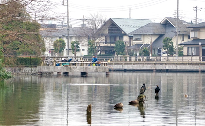今週のヘラブナ推薦釣り場【東京都・水元公園内溜】  TSURINEWS