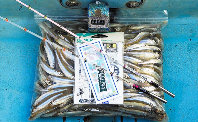 ボートワカサギ釣りで464尾の数釣り　「ボサ」周辺がアタリ【津久井湖】