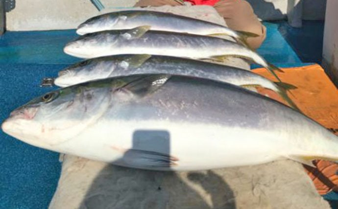玄界灘 沖のエサ釣り最新釣果 電動サンマ手繰り釣りで11kg寒ブリ Tsurinews