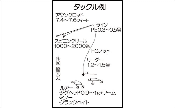 Peライン アジングのメリット活かし2ケタ釣果 鹿児島 谷山港