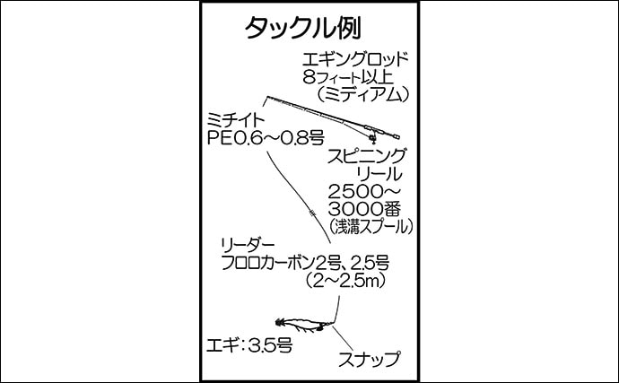 【九州2020厳寒期】アオリ狙いの陸っぱりエギング攻略法　1kg超も視野