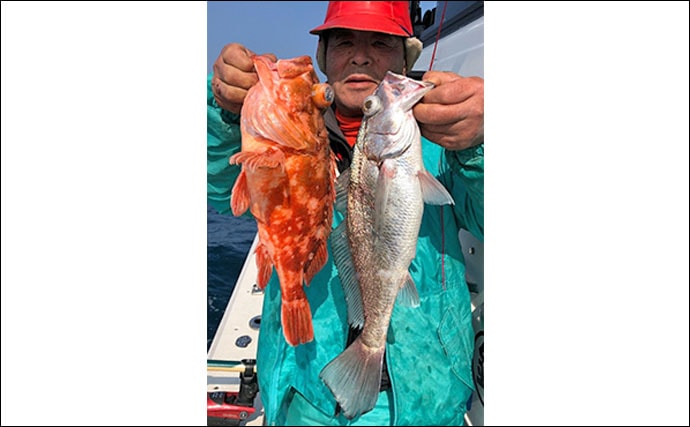 【大分・熊本】沖釣り最新釣果情報　各地で良型沖アラカブが好調顔出し
