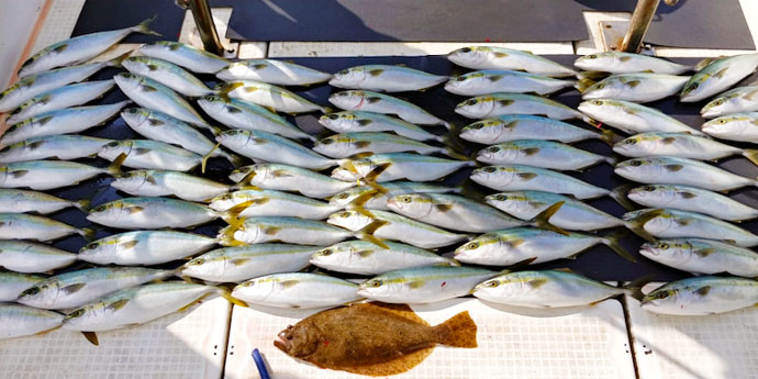 【愛知県】沖釣り最新釣果　ブリ族入れ食いに大サワラも好調顔出し