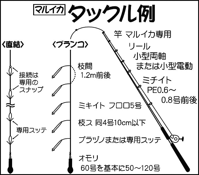 関東エリア2020】開幕直後の『マルイカ』釣り キホンの9ステップ解説