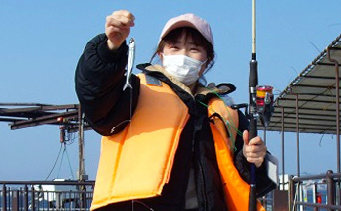 初心者でも簡単サビキ釣りでトウゴロウイワシ入れ食い【桜島海づり公園】