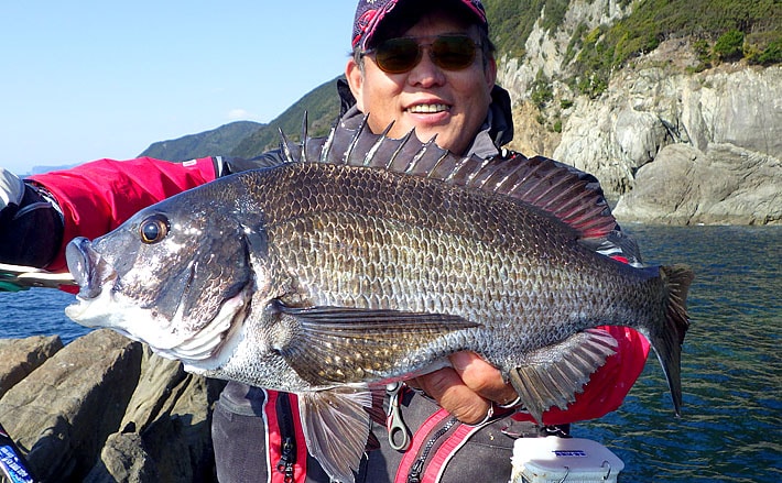 乗っ込みシーズン本番到来 磯フカセ釣りで49.2cm頭チヌ連発【徳島