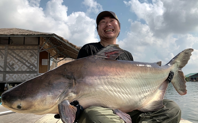 タイ王国でモンスター『メコンオオナマズ』を釣る　20kg超えが連発