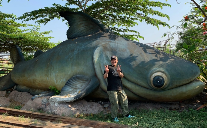 タイ王国でモンスター『メコンオオナマズ』を釣る　20kg超えが連発