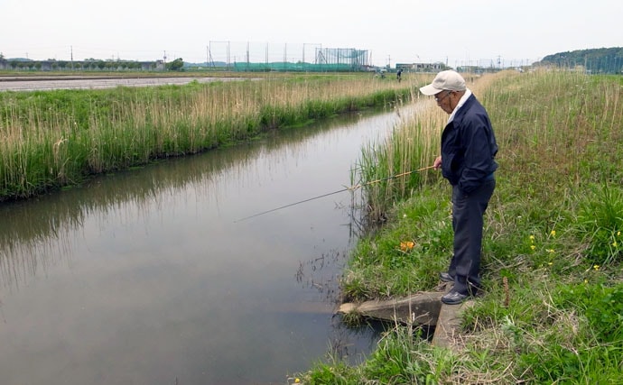 【関東2020】乗っ込みブナ好釣り場：手賀川周辺ホソ