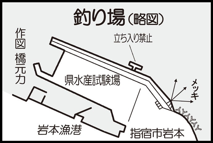 春のメッキゲームで20cm級ギンガメアジ10尾キャッチ【岩本漁港】