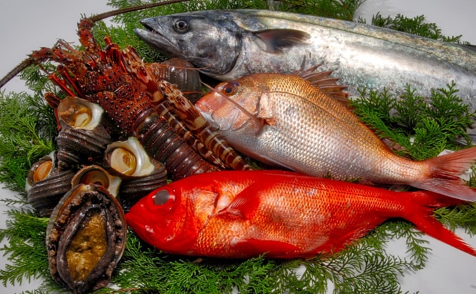 東京五輪で日本産の魚介類を提供できない理由　必要なエコラベルとは？