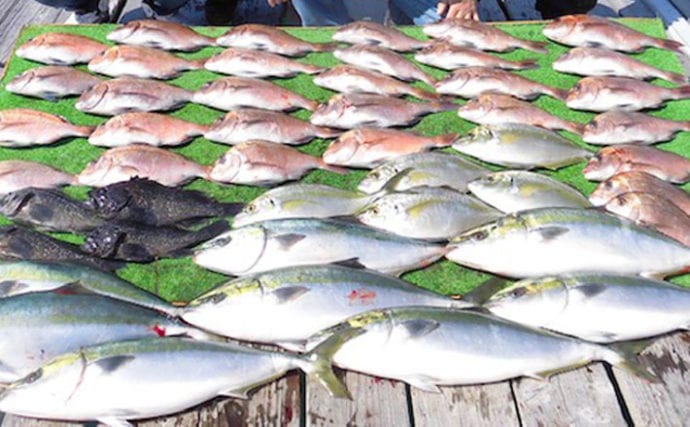 【三重】海上釣り堀最新釣果　マダイにワラサにシマアジと魚種豊富に満喫