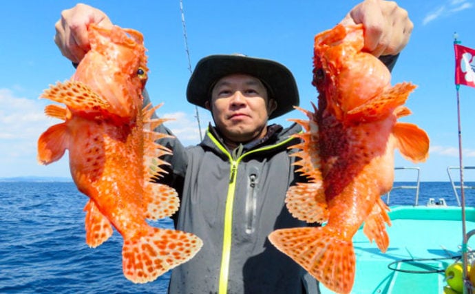 三重 愛知 沖のエサ釣り最新釣果 良型オニカサゴにアカムツが好調 Tsurinews