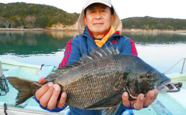 【三重県】カカリ釣り最新釣果情報　年無し含み良型クロダイ続々