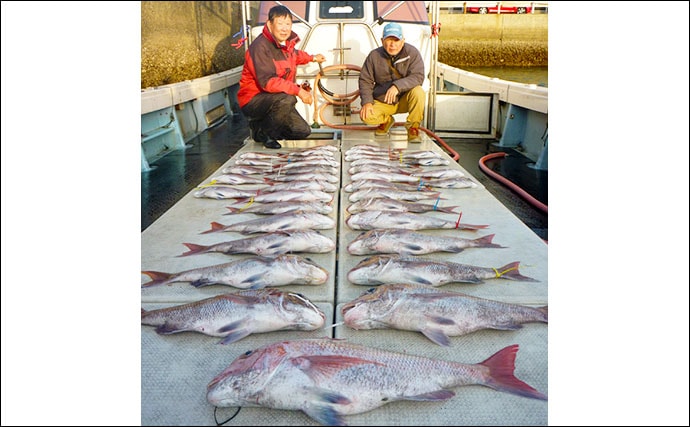 【玄界灘】船釣り最新釣果　タイラバで7kg頭にマダイ数釣り釣果続々