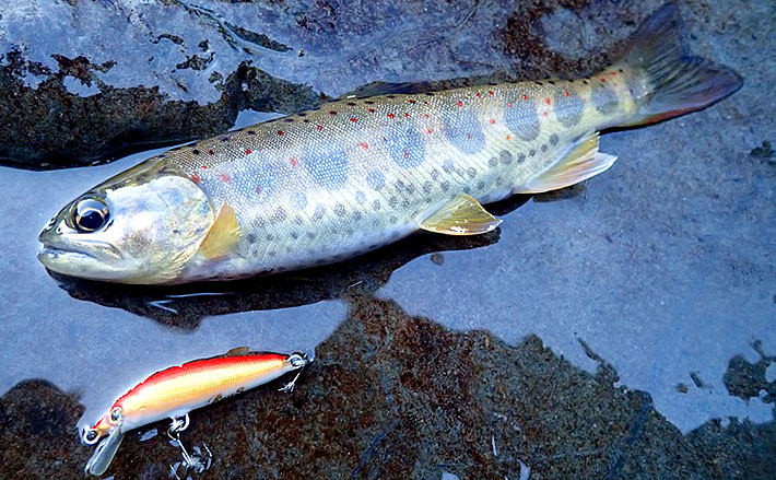 24d6c0eecd771d9d913d5e78203b61