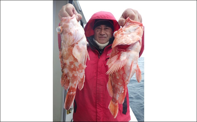 【大分＆熊本】沖釣り最新釣果　沖アラカブ好調にメバル40尾の数釣り