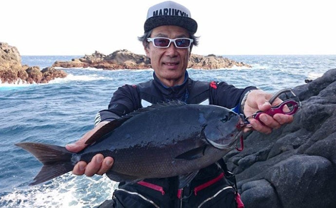 『神津島』大型尾長メジナシーズン開幕　磯フカセ釣りで60cm超を狙う