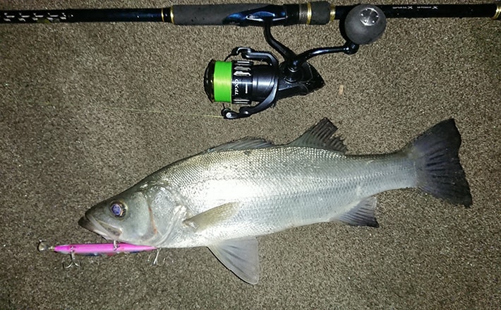 ナイトサーフゲームでヒラスズキ3尾 離岸流がキモ 宮崎 木崎浜 Tsurinews