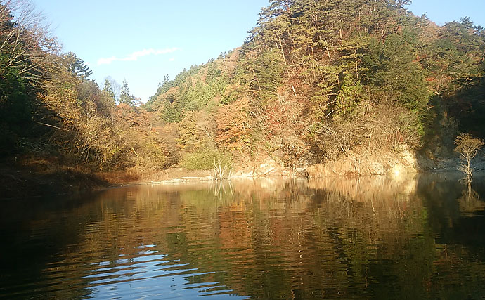 【2020解禁直後】フライフィッシング好釣り場：東古屋湖／栃木県　