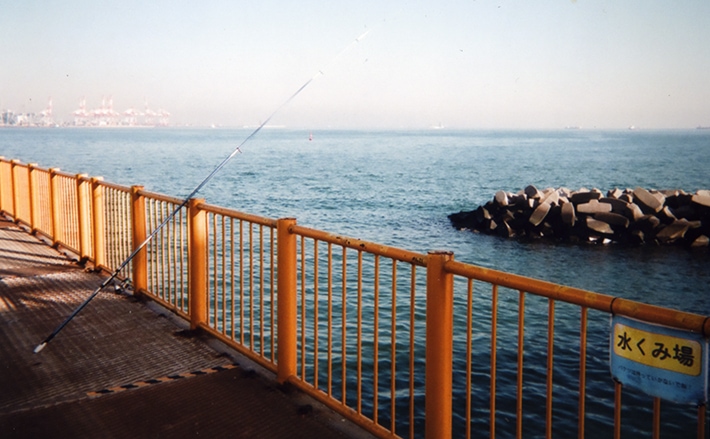 晩酌の肴 狙いのミャク釣りでウミタナゴ シロギス 磯子海づり施設 Tsurinews