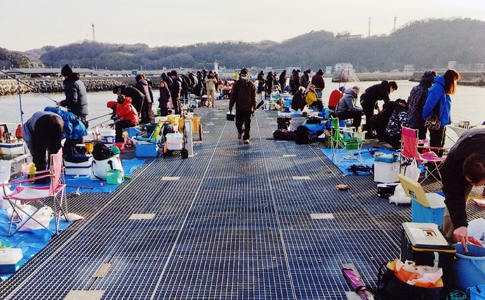 サビキで楽々イワシ＆アジ　早朝の時合いに3ケタ釣果【豊浜釣り桟橋】