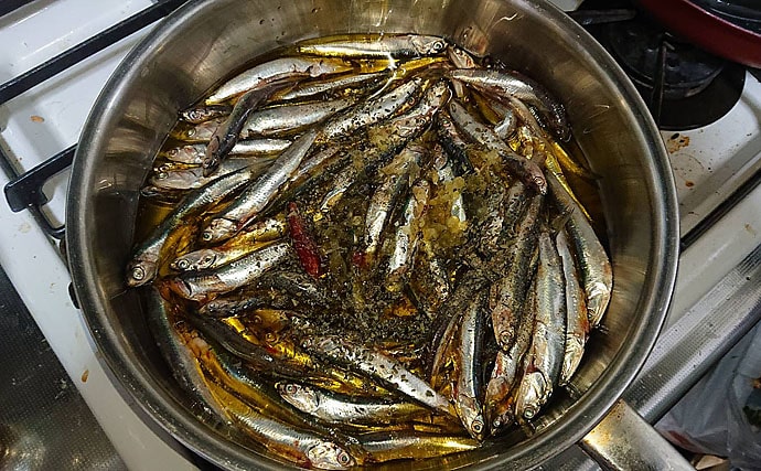 【釣果レシピ】オイルサーディン：あっという間に手軽な保存食が完成