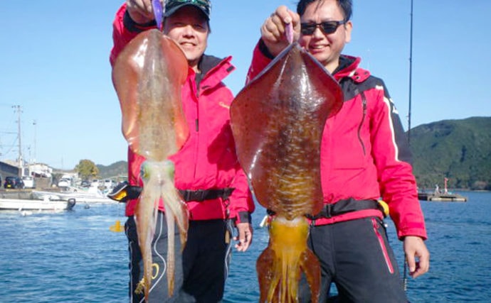 【三重】船釣り最新釣果　春の大型アオリイカ狙いエギング好調