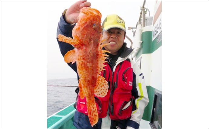 【三重】船釣り最新釣果　春の大型アオリイカ狙いエギング好調
