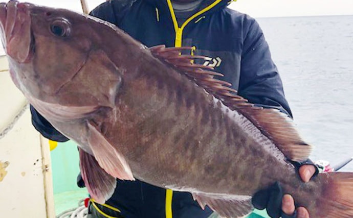 玄界灘 沖のエサ釣り最新釣果 アジ泳がせ釣りで7kg超大型タカバ Tsurinews