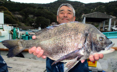 【三重】カカリ釣り最新釣果　55cm級年無し含みクロダイ数釣り好調