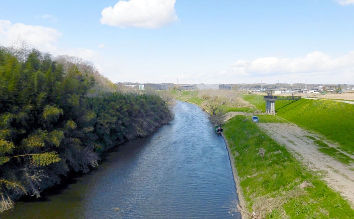 今週のヘラブナ推薦釣り場 埼玉県 市野川 Tsurinews