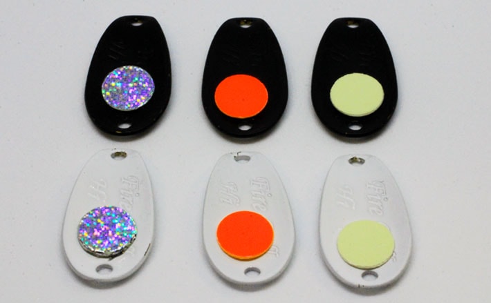 サカナの色覚の謎に迫る アピールの秘訣は背景色との対比だった Tsurinews