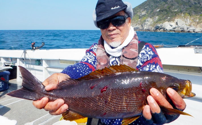 玄界灘イサキ釣りで30cm級中心に58尾 ゲストにヒラマサ【第二大福丸