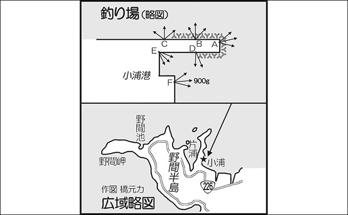 波止エギングで1kg級アオリイカキャッチ【鹿児島・小浦港】